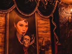 -雪灵魔法世界SHELLY’S TAROT(大良桂畔里店)