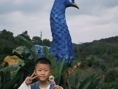 -东莞植物园