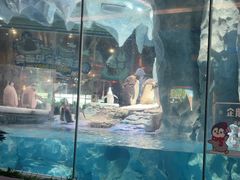 -帝企鹅自助餐厅•儿童岛•真企鹅(长隆企鹅酒店)