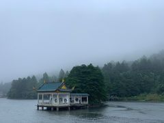 -庐山风景区花径公园