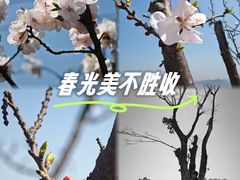 -重庆平顶山公园