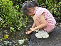 -峡谷浮石林景区