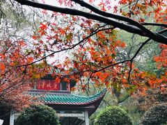 -岳麓山风景名胜区