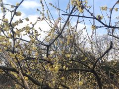 -白塘生态植物园