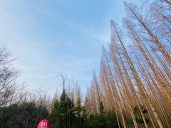 -上海怡沁园度假酒店