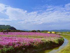 -径山花海
