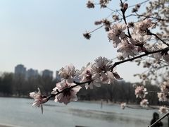 -太阳宫公园