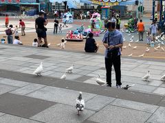 -烟台海昌鲸鲨海洋公园