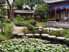 -武汉园博园(武汉自然博物馆)