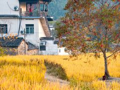-塔川景区