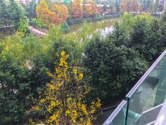 -重庆医科大学附属第一医院(金山院区)