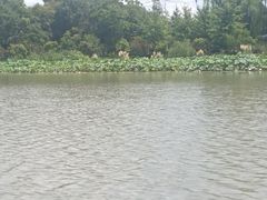 -昆山城市生态森林公园