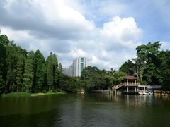-晓港公园