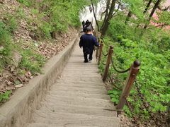 -陕西省红河谷森林公园