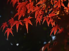 -汇龙潭