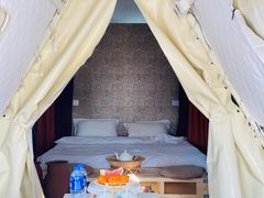 -安德鲁户外烧烤帐篷营地(马泉营店)