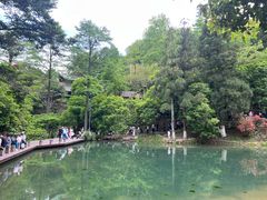 -莫干山风景区