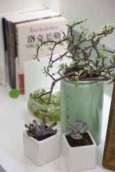 -Dr.U博士医疗美容医院