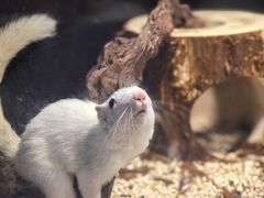 -太平洋海底世界