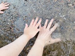 -台场海滨公园船码头