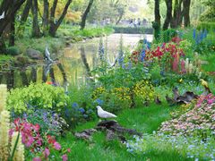 -上海共青森林公园