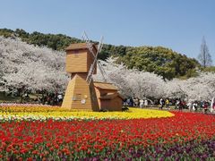 -苏州上方山国家森林公园