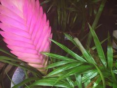 -聚盛源蒸汽海鲜火锅烤肉自助(巨川金海岸购物广场店)