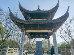-长广溪湿地公园
