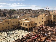 -穆莱拉赫制革厂