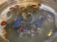 甲鱼乌鸡锅-佳养记百味鸡煲海曙孝闻街店