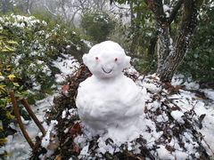 -杭州半山国家森林公园