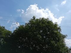 -石燕湖生态旅游景区