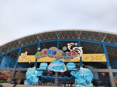 -泉城欧乐堡海洋极地世界