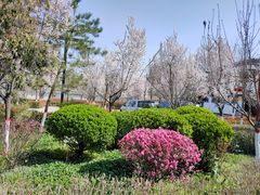 -西安汉城湖景区