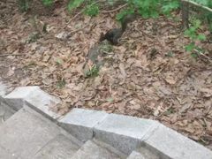 -北山公园