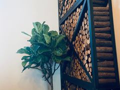 -the rug 飞毯 (朝阳公园店)