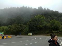 -阿里山神木遗迹
