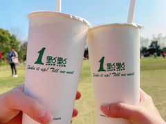 -上海滨江森林公园