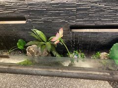 -大榕树下顺德菜(融创茂店)