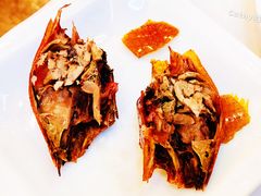 九花山精品烤鸭-九花山烤鸭店