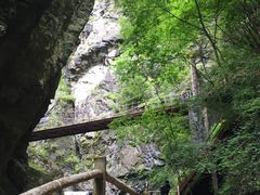 -牛背梁国家森林公园