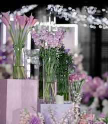 -明典婚礼策划·婚车租赁·婚纱摄影