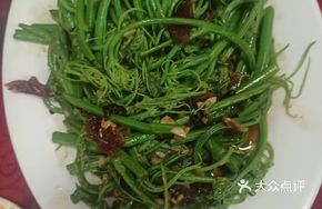 Cucumber Sprouts