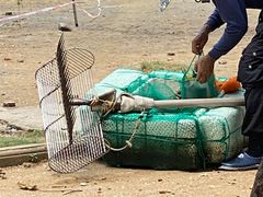 -北海金海湾红树林生态旅游区