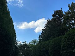 -上海虹桥迎宾馆