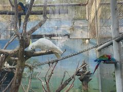 -济南野生动物世界