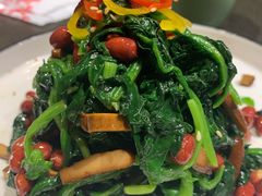 茶香干拌菠菜-北平盛世·新京菜·北京烤鸭(劲松·双井店)