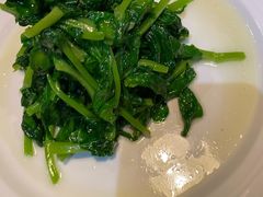 清炒广东菜心-九朝会昆曲·宴(望京店)