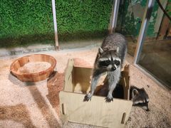 -常州海昌海洋探索馆