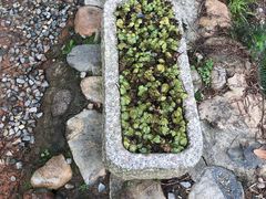 -厦门园林植物园-植物园滴水山房